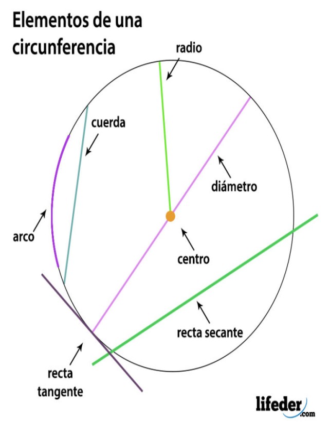 Lista 93+ Foto ¿cuántos ejes de simetría tiene una circunferencia? Cena hermosa