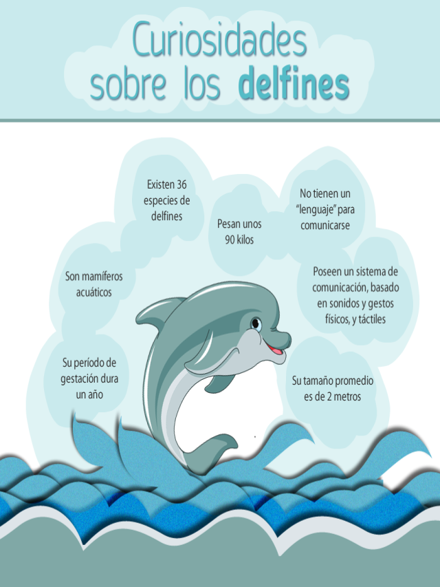 Lista 100+ Foto datos curiosos de los delfines para niños Mirada tensa