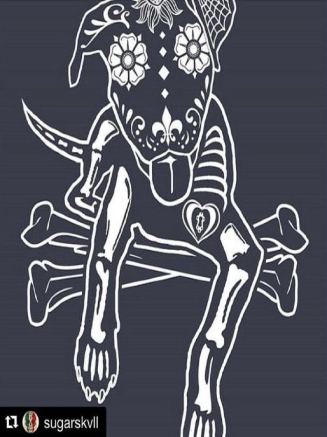 Lista 93+ Foto dia de muertos esqueleto de perro dibujo Alta definición completa, 2k, 4k