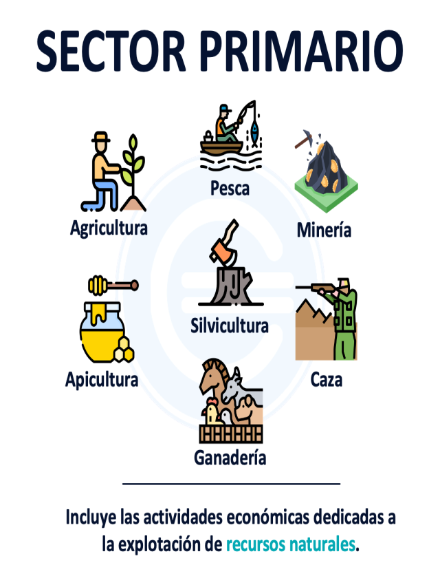 Lista 93+ Imagen dibujo de los sectores de la economía Mirada tensa