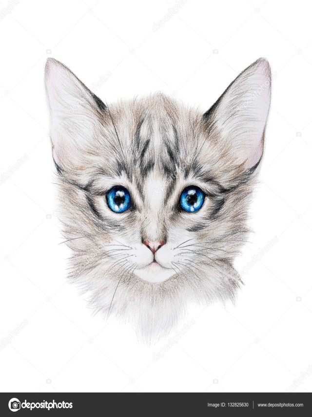 Álbumes 91+ Foto dibujo de un gato a lapiz Alta definición completa, 2k, 4k