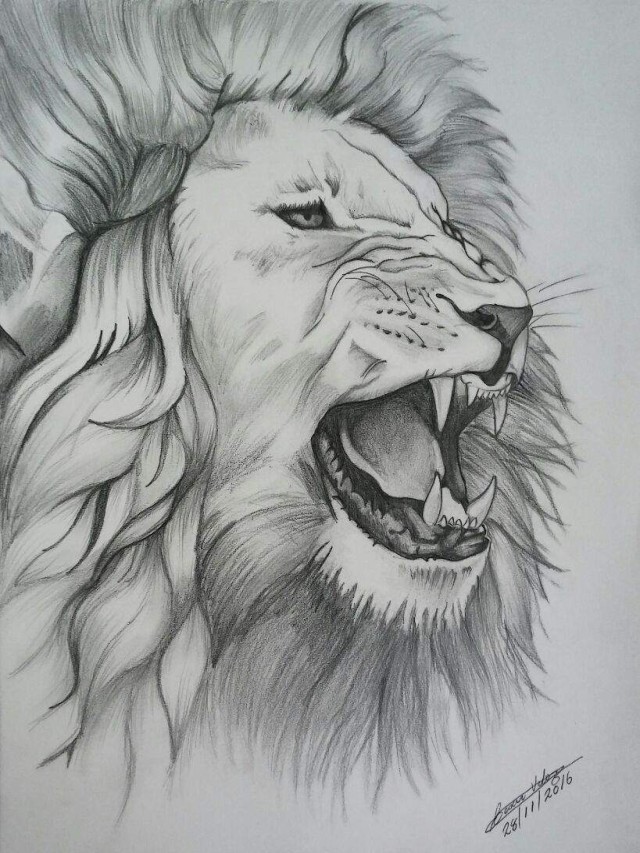 Lista 103+ Foto dibujo de un leon a lapiz Lleno