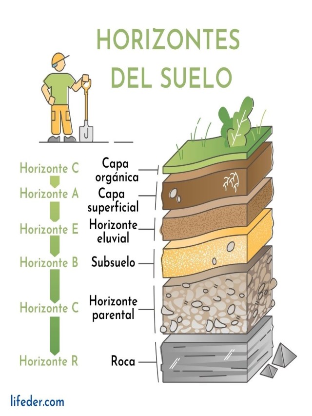 Lista 96+ Imagen dibujo del perfil del suelo y sus horizontes Cena hermosa