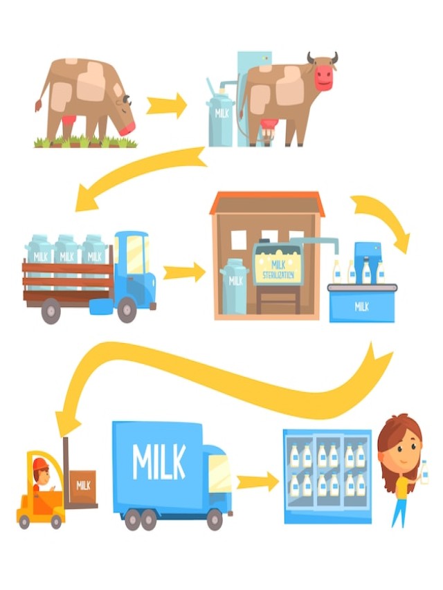 Sintético 91+ Foto dibujo proceso de produccion de la leche Alta definición completa, 2k, 4k