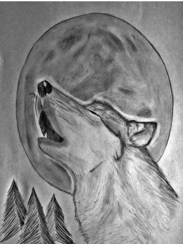 Em geral 105+ Imagen dibujos de lobos aullando a lapiz Actualizar