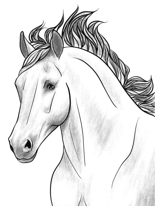 Lista 98+ Imagen dibujos de caballos fáciles para dibujar Lleno