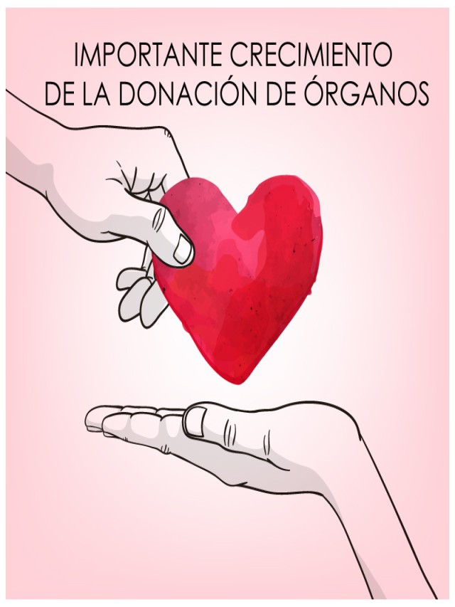 Lista 102+ Imagen dibujos de la donacion de organos y tejidos Mirada tensa