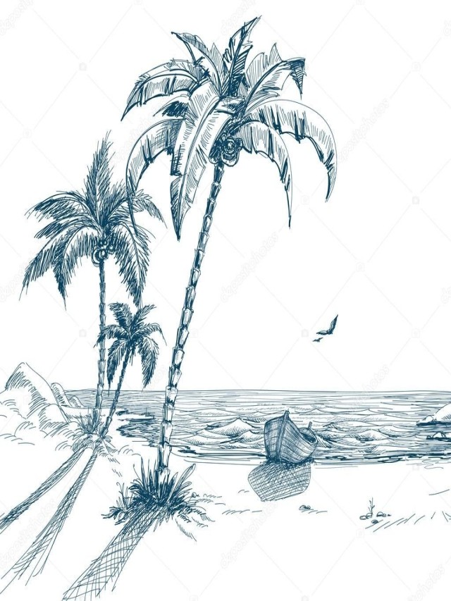 Lista 105+ Foto dibujos de palmeras de playa a lapiz Cena hermosa