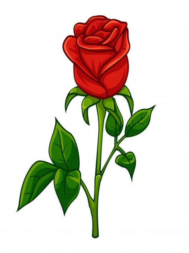 Álbumes 100+ Foto dibujos de rosas rojas a color Alta definición completa, 2k, 4k