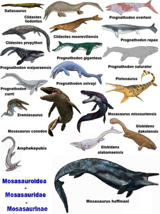 Lista 98+ Foto dinosaurios que viven en el agua Alta definición completa, 2k, 4k