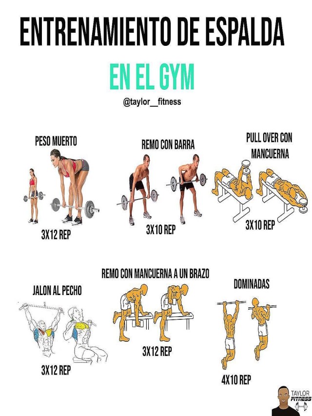 Lista 101+ Foto ejercicios de espalda para mujeres en el gym Cena hermosa