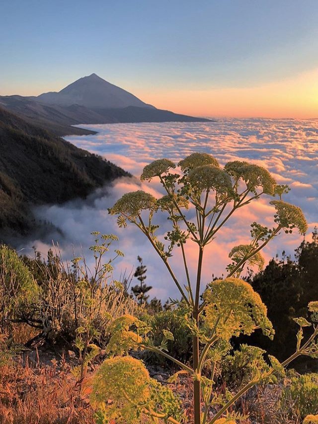 Lista 101+ Foto el pico más alto de la península ibérica es el Mirada tensa