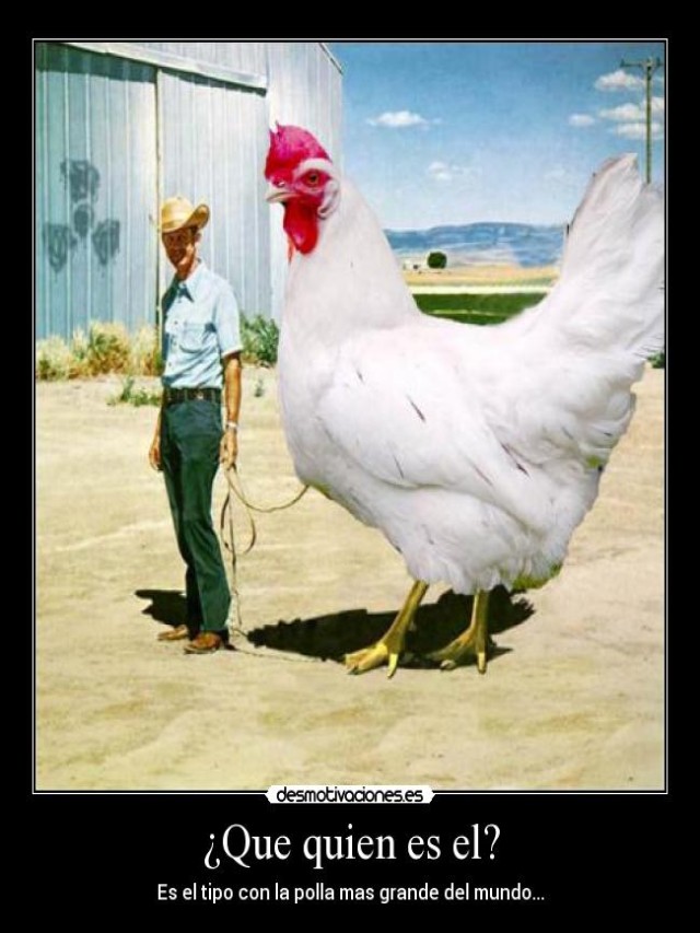 Sintético 100+ Foto el pollo mas grande del mundo Actualizar