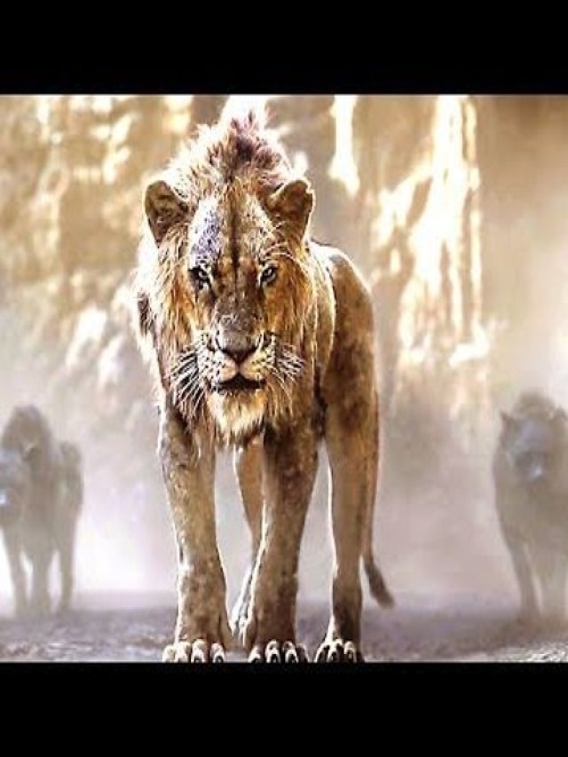 Lista 92+ Foto el rey leon 2019 pelicula completa en español El último