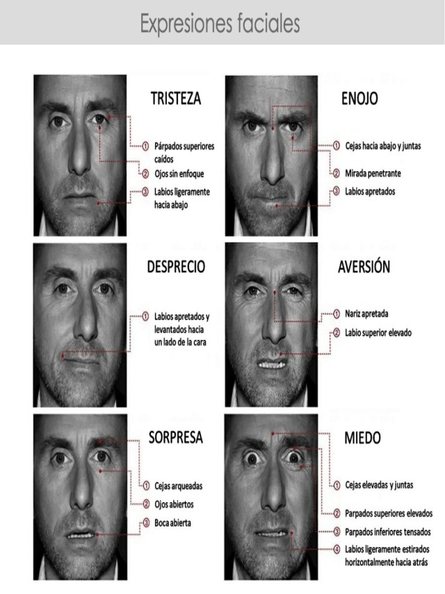 Sintético 98+ Foto el rostro de las emociones paul ekman pdf El último