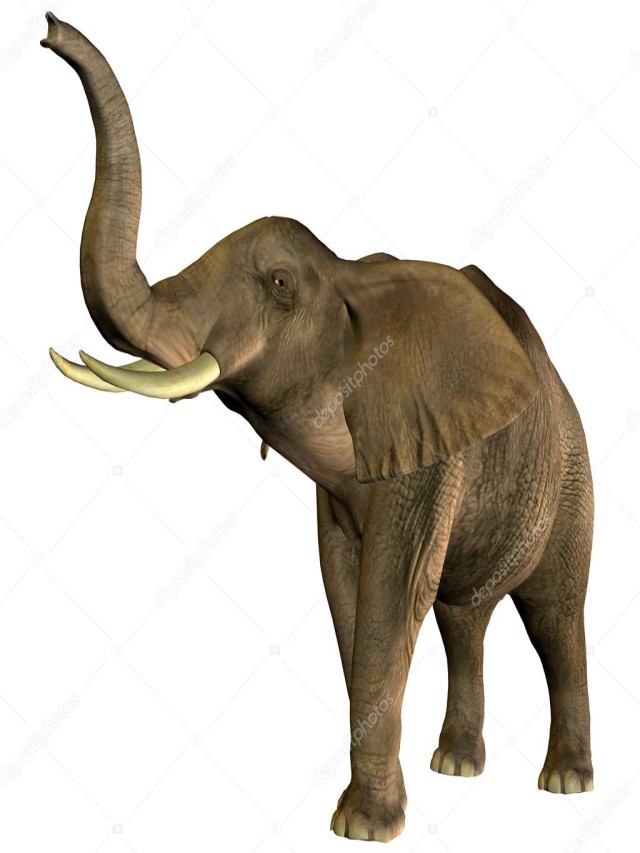 Lista 101+ Foto elefante con la trompa hacia arriba Cena hermosa