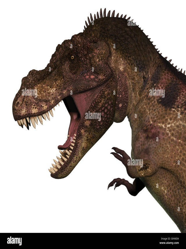 Sintético 97+ Foto en que periodo vivio el tiranosaurio rex El último