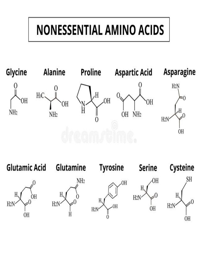 Lista 98+ Foto estructura de los aminoácidos no esenciales Mirada tensa