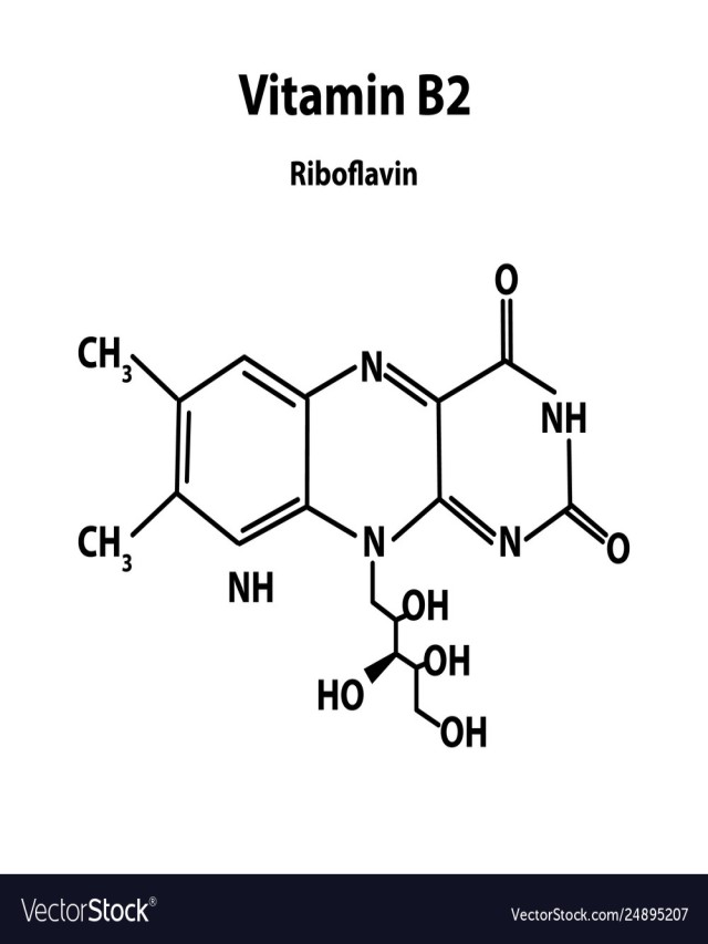 Arriba 96+ Foto estructura química de la vitamina b2 Mirada tensa