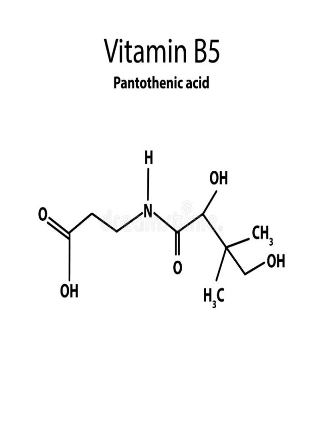 Álbumes 103+ Foto estructura quimica de la vitamina b5 Lleno