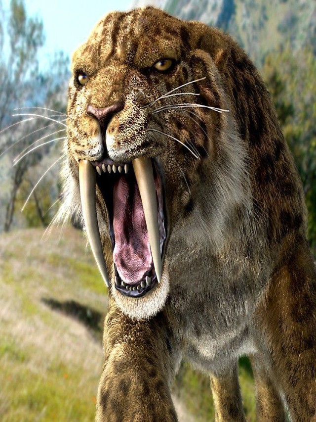Lista 95+ Foto evolución del tigre dientes de sable El último