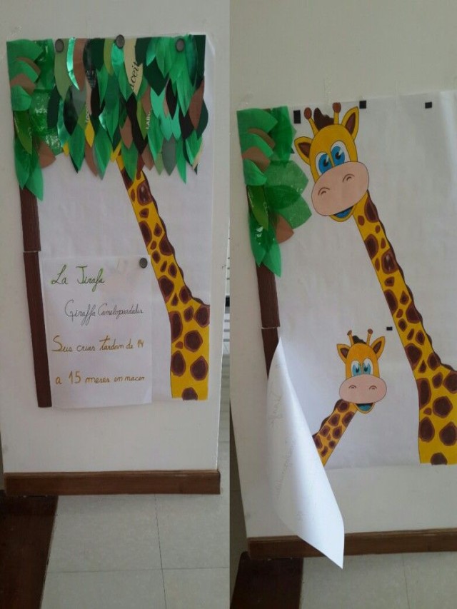 Álbumes 94+ Foto exposición de la jirafa para niños de primaria Mirada tensa