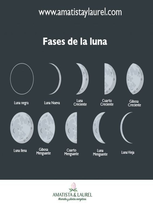 Lista 105+ Foto fases de la luna ultimo cuarto El último