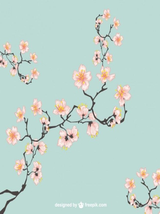 Lista 90+ Foto flor de cerezo fondo de pantalla anime Actualizar