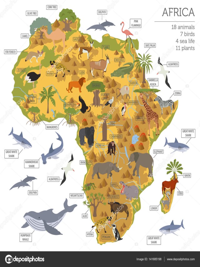 Arriba 90+ Foto flora y fauna del continente africano Mirada tensa