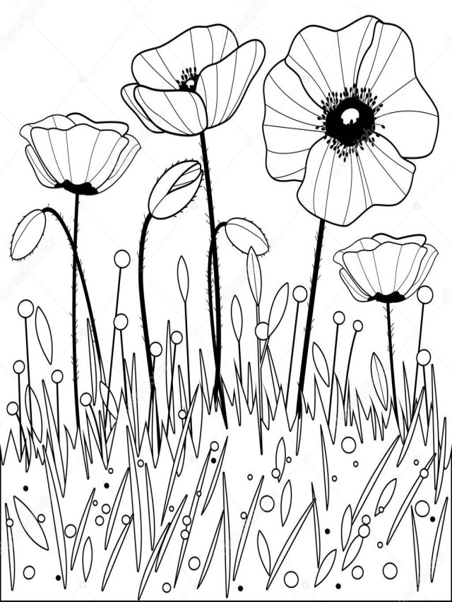 Álbumes 96+ Foto flores blanco y negro para colorear Alta definición completa, 2k, 4k