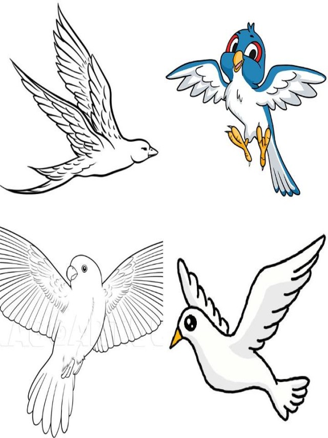 Lista 92+ Imagen flying bird drawing with colour easy El último
