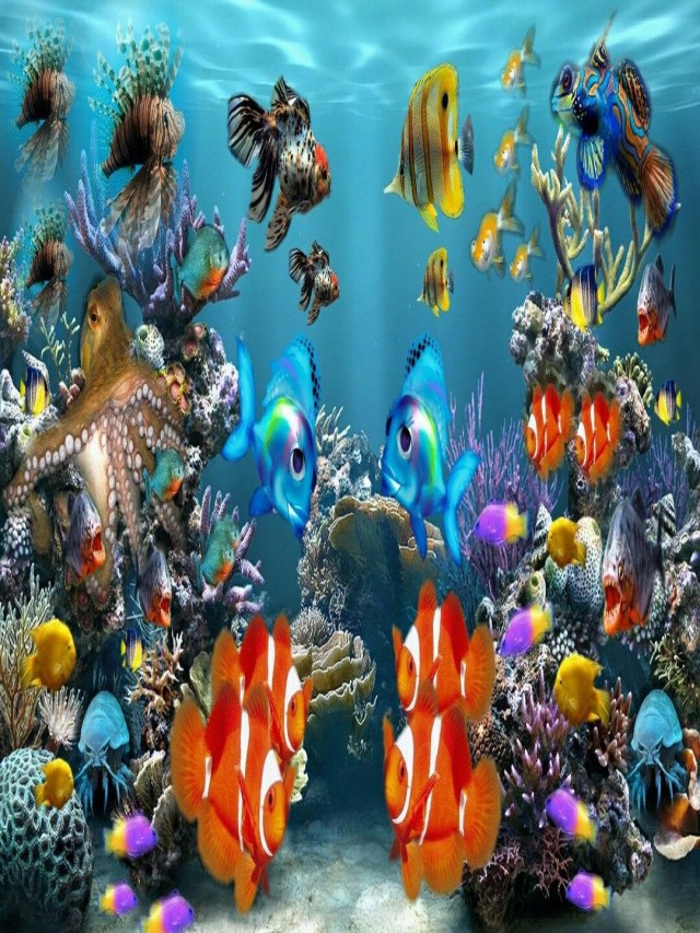 Lista 105+ Imagen fondos de pantalla de peces en movimiento gratis El último