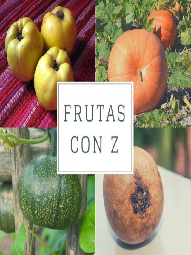 Lista 104+ Foto frutas que empiecen con la letra z Alta definición completa, 2k, 4k