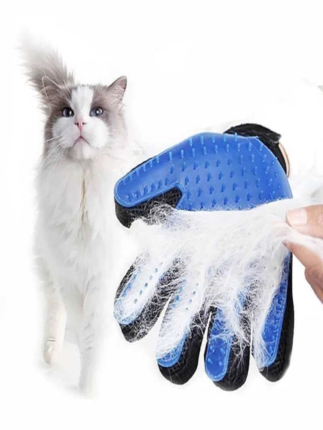 Arriba 104+ Foto guante para quitar pelo de gato casero Actualizar
