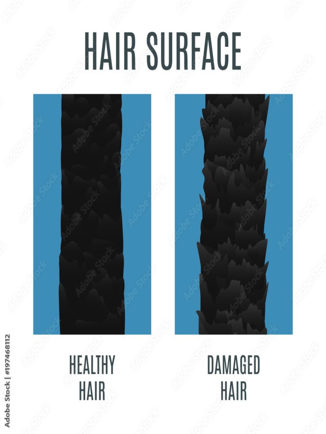 Lista 96+ Imagen healthy hair vs damaged hair under microscope Actualizar