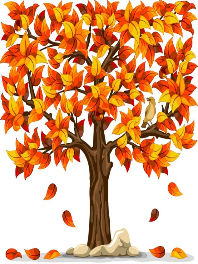 Lista 94+ Imagen hojas de otoño cayendo del arbol Cena hermosa