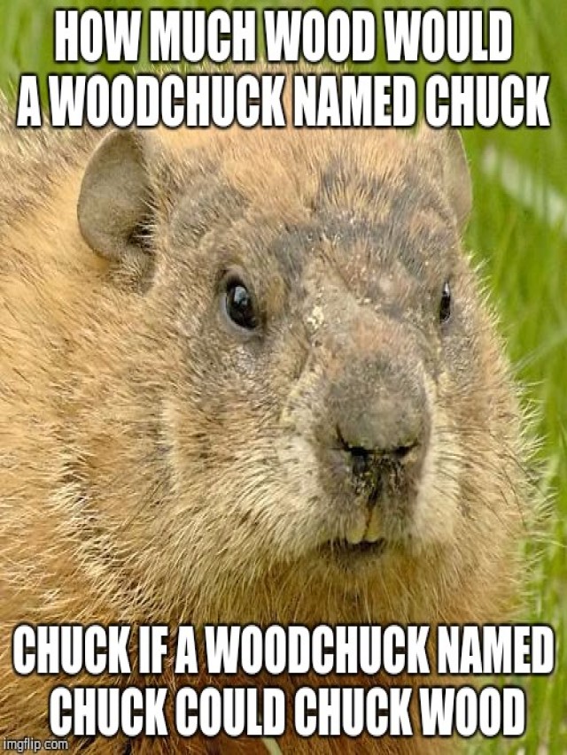 Lista 103+ Foto how much wood would a woodchuck chuck if a woodchuck could chuck wood Mirada tensa