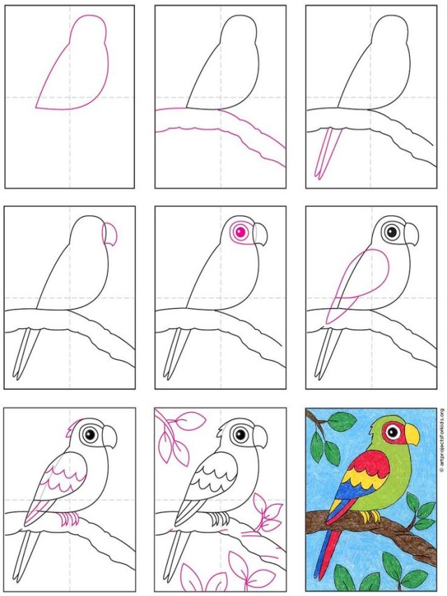 Lista 90+ Imagen how to draw parrot with 5 Lleno