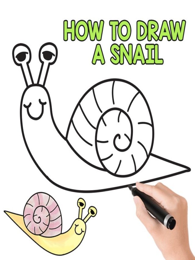 Álbumes 98+ Imagen how to draw a snail easy Alta definición completa, 2k, 4k