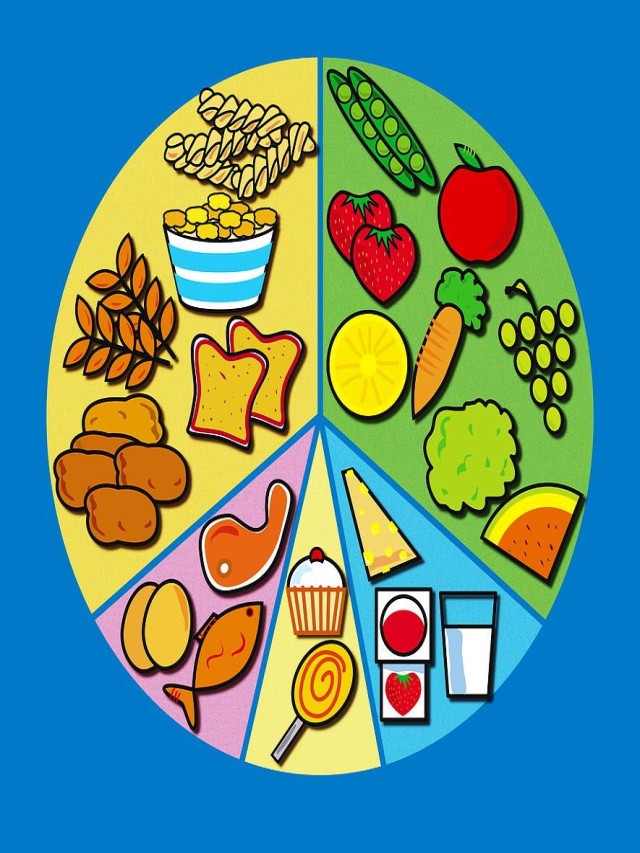 Lista 104+ Imagen how to draw a balanced diet Actualizar