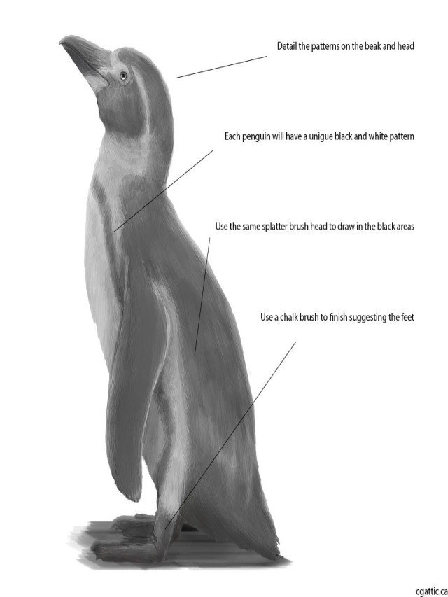 Lista 90+ Imagen how to draw a realistic penguin Actualizar
