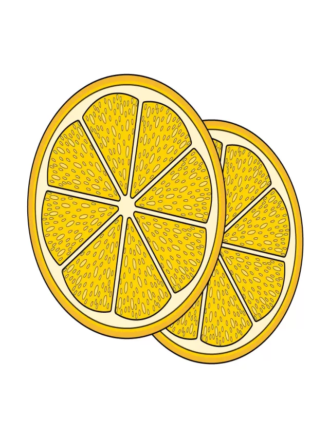 Álbumes 101+ Imagen how to draw a lemon slice Mirada tensa