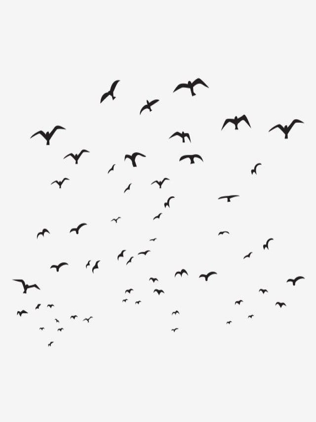 Álbumes 102+ Imagen how to draw birds in the sky Cena hermosa