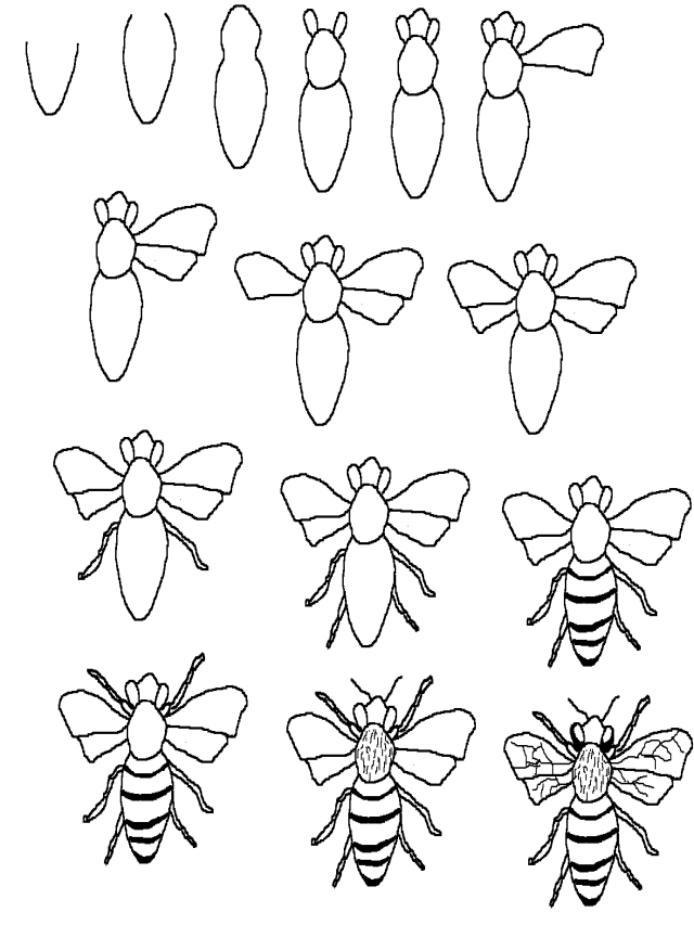 Arriba 97+ Imagen how to draw a honey bee Mirada tensa