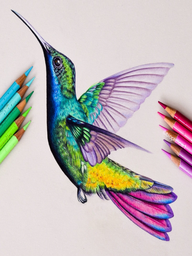 Lista 100+ Imagen how to draw a realistic hummingbird Alta definición completa, 2k, 4k