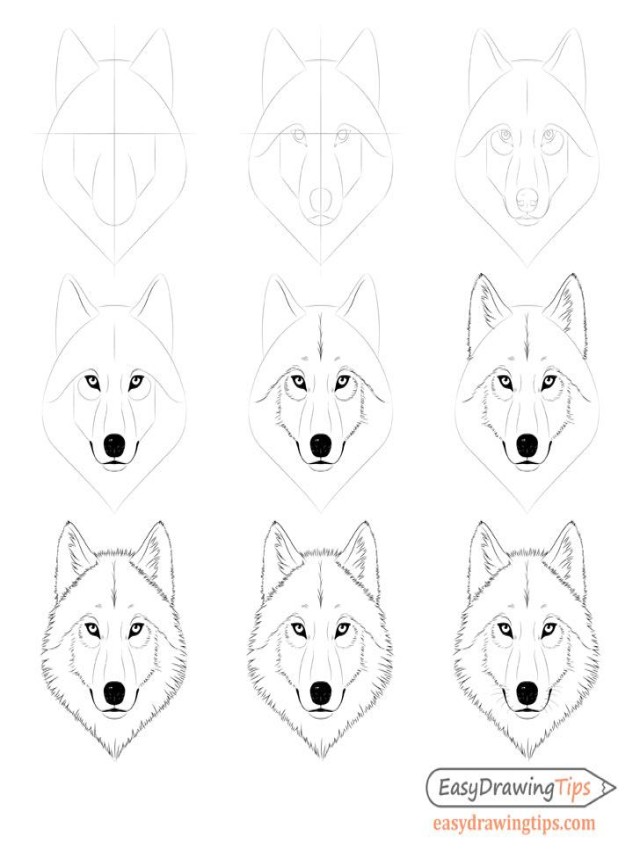 Em geral 105+ Imagen how to draw a wolf head Cena hermosa