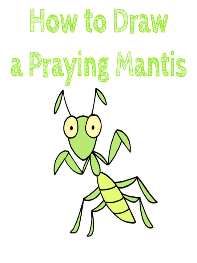 Arriba 95+ Imagen how to draw a praying mantis Alta definición completa, 2k, 4k