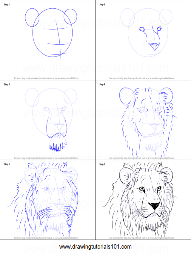 Álbumes 94+ Imagen how to draw a lion head step by step Actualizar