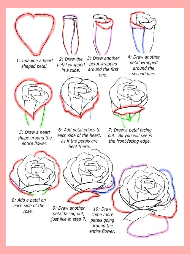 Lista 102+ Imagen how to draw a rose picture Cena hermosa