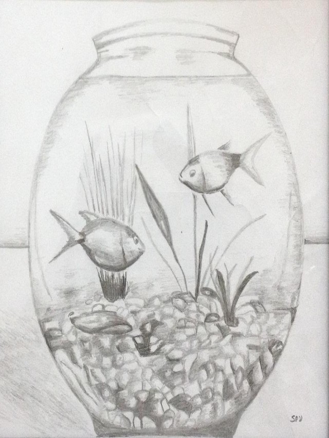 Lista 90+ Imagen how to draw a fish tank Cena hermosa